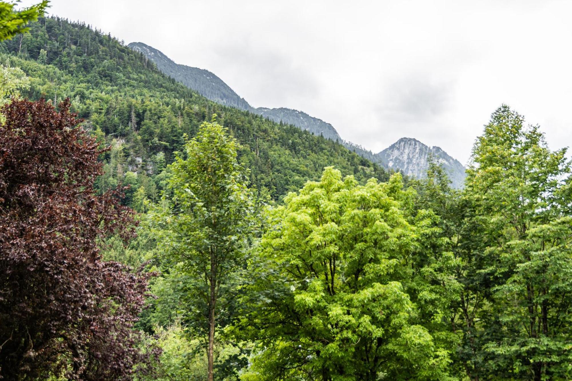 Holzhaus In Alleinlage In Bad Ischl, Kamin&sauna Ferienhaus *